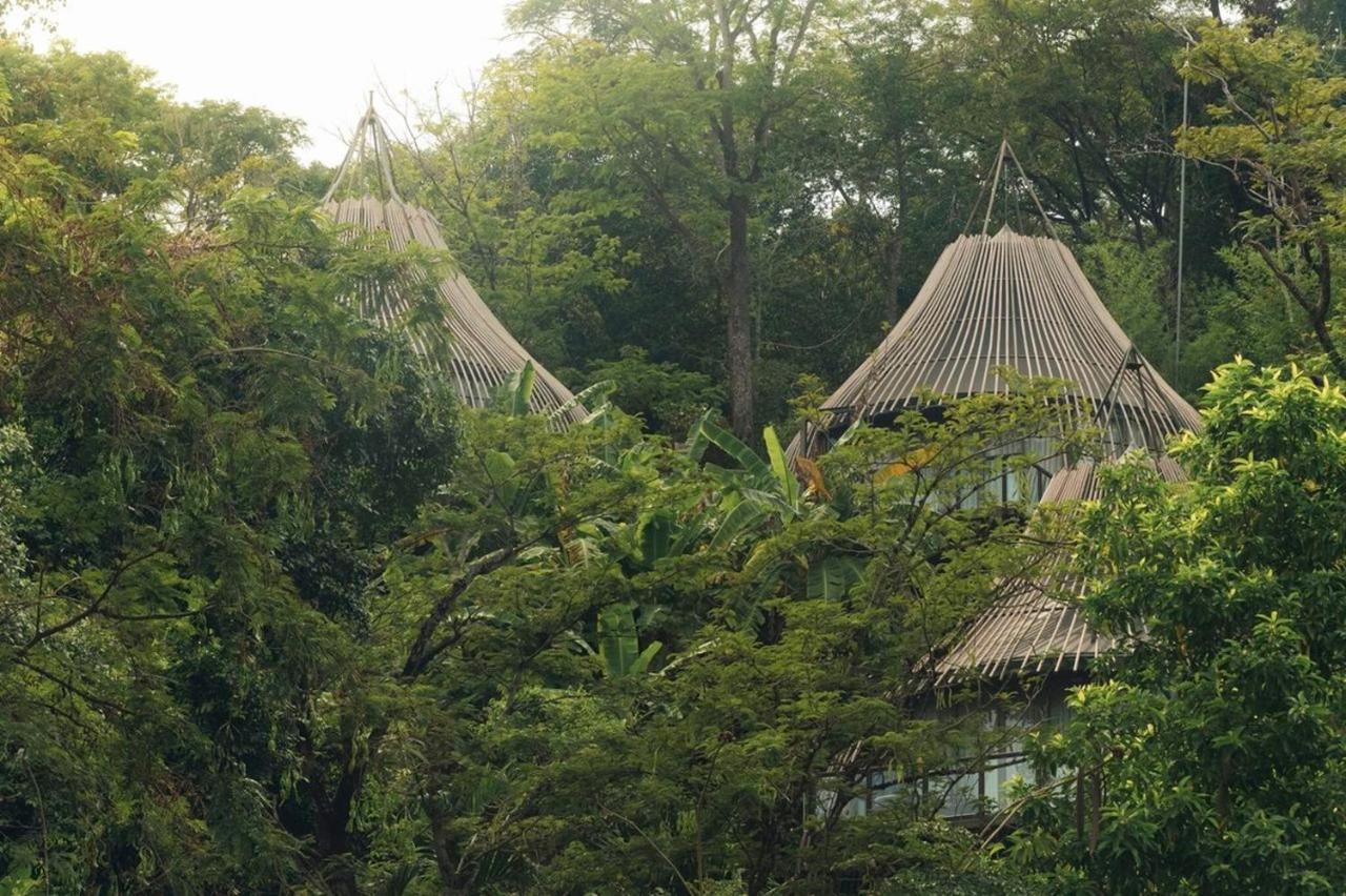 Keemala Hotel Kamala Beach Exterior photo Hammocks at the National Zoo